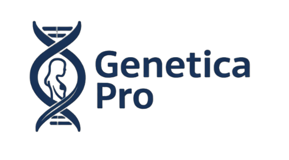 vidnoz ai image background remover 2026 1 4 17 40